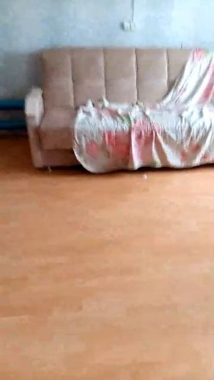 Просто стрим Майский