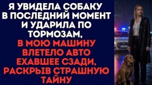 Я увидела собаку в последний момент и ударила по тормозам, в мою машину влетело авто!