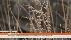 Открытый огонь под запретом: в Мордовии введён особый противопожарный режим