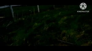 📢Я приехал в деревню📢. И встретил SIREN HEDA
