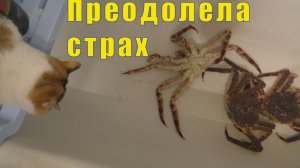 ОТБЛАГОДАРЮ ОБЯЗАТЕЛЬНО /  ПРЕОДОЛЕЛА СТРАХ /  29 и 30 апреля 2026