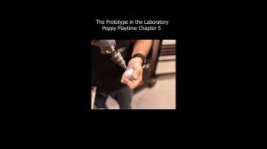 1000024241.mp4