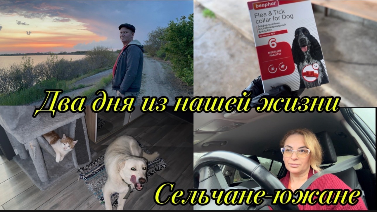 ❤️Очередной визит в больницу/ Дожди и серость/ Некуда высаживать