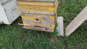 Остались живы 4 семьи из 6.