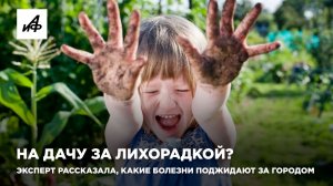 На дачу за лихорадкой?  Эксперт рассказала, какие болезни поджидают за городом
