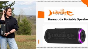 Беспроводная колонка Barracuda