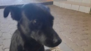 гуляю на российском парке