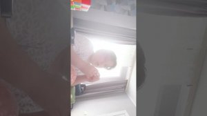 уборка комнаты