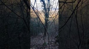 28 февраля. Обследование Саркосцифовой щели.