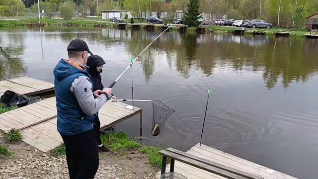 Светлые Горы Карп2 09.05.2026г. смотреть онлайн