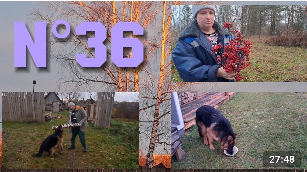 N°36. ПРОСТАЯ ЖИЗНЬ В ДЕРЕВНЕ || БУДНИ В ДЕРЕВНЕ || СЕМЬЯ В ДЕРЕВНЕ