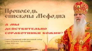 А мы действительно соработники Божии? | Проповедь епископа Мефодия