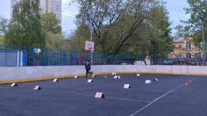 Класс РО-4 Деваева Марина и Лео. Кубок Панды 2026 по Ралли Обидиенс онлайн.