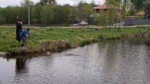 Светлые Горы Карп 09.05.2026г.