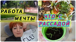 С Днём победы / Работа мечты / Что с рассадой