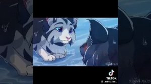 Крутобок и Серебрянка//Перезалив//Черника//