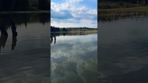 красота природы