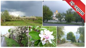 Чуть сердце не остановилось / Приехали называется поработать на даче / 19 выпуск