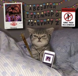 м