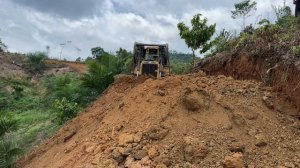 One Pass Directly Becomes D6R XL Bulldozer Making Plantation Roads