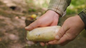 Stuffing a Giant Steak with Homemade Butter in the Forest 🥩🔥
