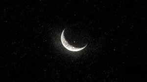 talking to the moon — dreamcore playlist