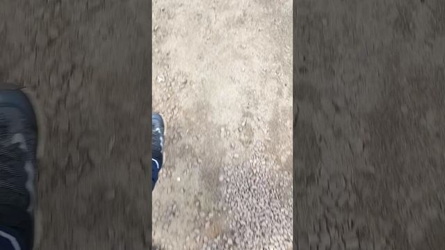 сегодня 9 мая