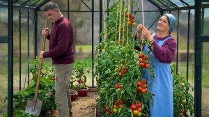 Теплица и клубничная кухня. Жизнь в горах