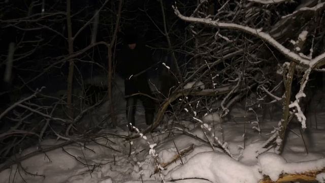 Нашел сверхсекретную микро землянку в глубине леса смотреть онлайн