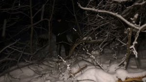 Нашел сверхсекретную микро землянку в глубине леса