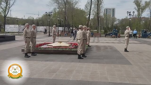 4919.mp смотреть онлайн