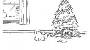 Little Box - Simon's Cat