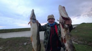 Бешеные щуки все переломали и меня порвали.Рыбалка в Сибири.