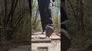 Всех белок накормил)