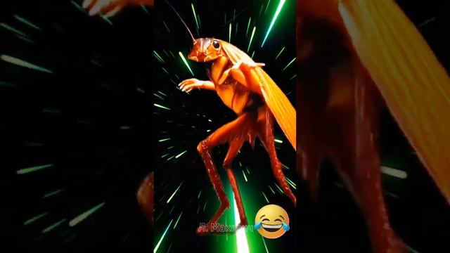 Частушки Дразнилки