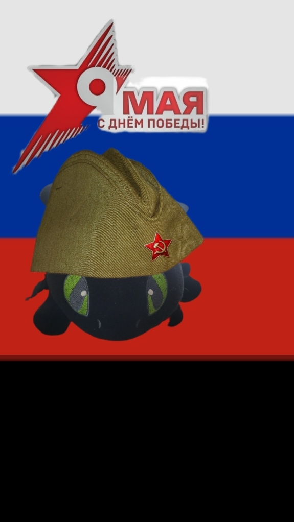 с днем победы!(с 9мая)