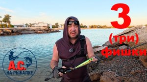 3 (три) фишки монстроузного пропбейта, построенного для Красного моря. Тест в Египте.