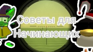 Советы для начинающих чикенганеров