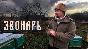 Звонарь
