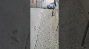 1000000370.mp4