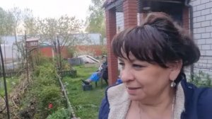 Работаю целый день не разгибаясь. Упахалась в огороде. Когда будет порядок?