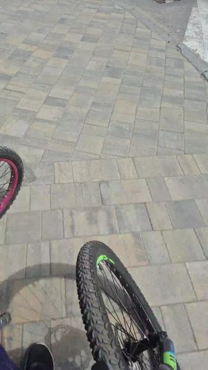 едем в суздали