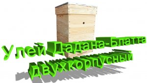 Дадан-Блатт в двух корпусах: плюсы, минусы и подводные камни | Профессор Кашковский 🐝🏗️