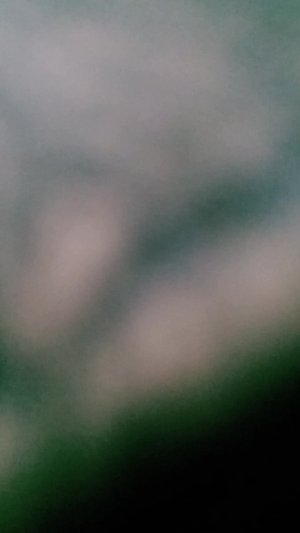 в