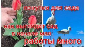 Как выглядит сад в начале Мая/Новые жильцы приносят счастье /С праздником 9 Мая/Высаживаю цветы.