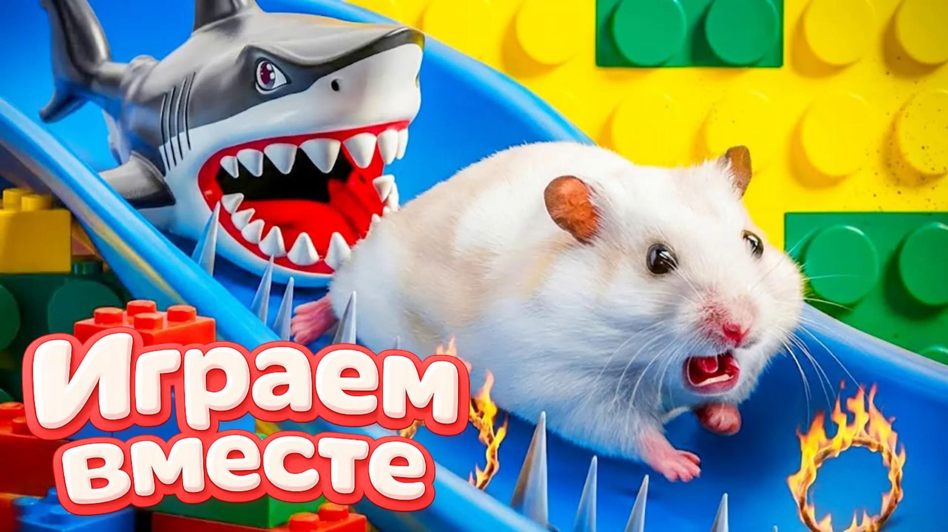 ХОМЯК ВЫБИРАЕТСЯ ИЗ СЕКРЕТНОЙ ХОМЯЧЕЙ ТЮРЬМЫ ! Играем ВМЕСТЕ 🟠 Помогаем выбраться из лабиринта 4