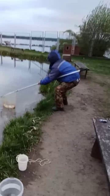 39704.mp4
