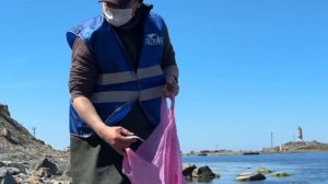 Беременную азовку спасают на Черноморском побережье.

Дельфиниха выбросилась на берег в Большом Утри