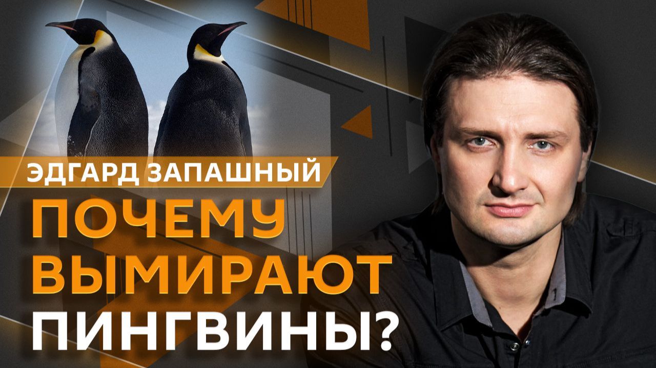 Эдгард Запашный и Нина Ватт. Что происходит с климатом и выживут ли пингвины?