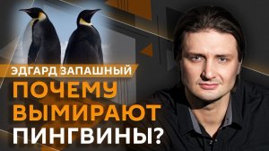 Эдгард Запашный и Нина Ватт. Что происходит с климатом и выживут ли пингвины?